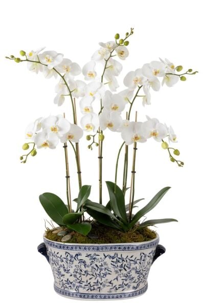 Bleu Blanc Eternal Porselen Oval Saksı, Büyük Boy