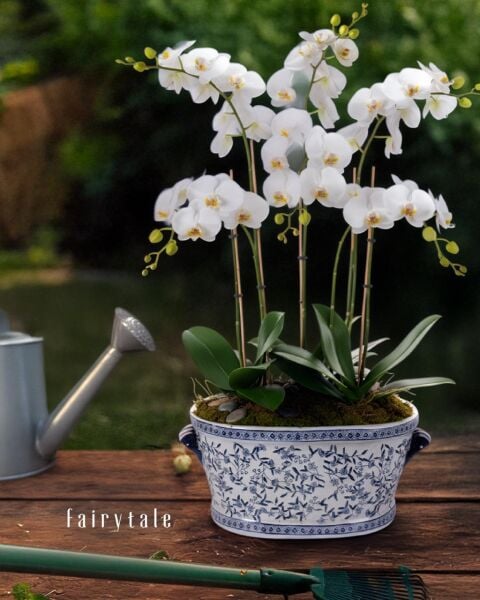 Bleu Blanc Eternal Porselen Oval Saksı, Büyük Boy