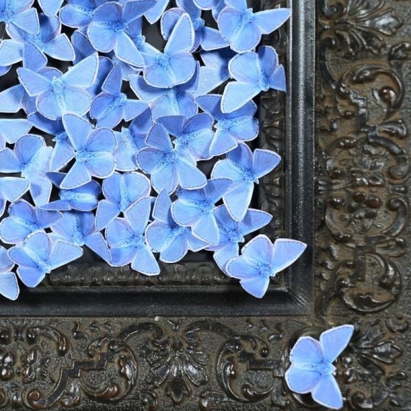 Kağıt Kelebekler Bulutu Kabartmalı Tablo, Mavi