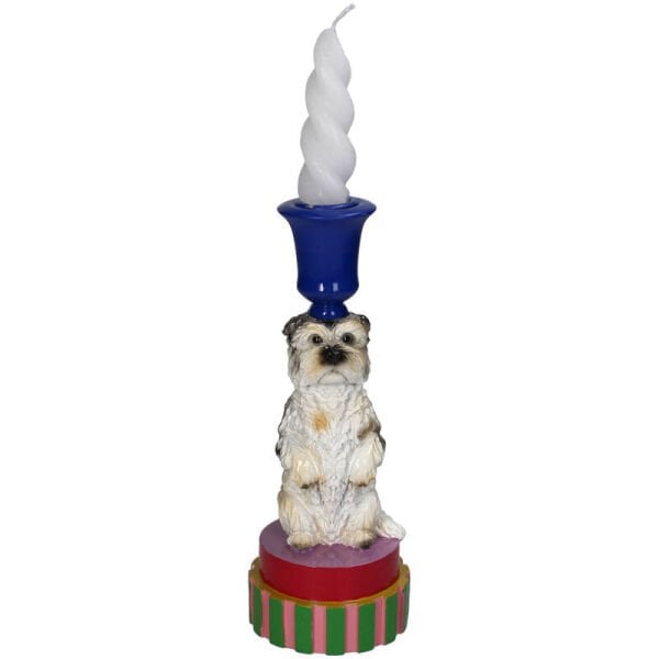 Duchess Maltese Köpek Şamdan