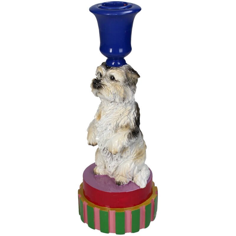 Duchess Maltese Köpek Şamdan