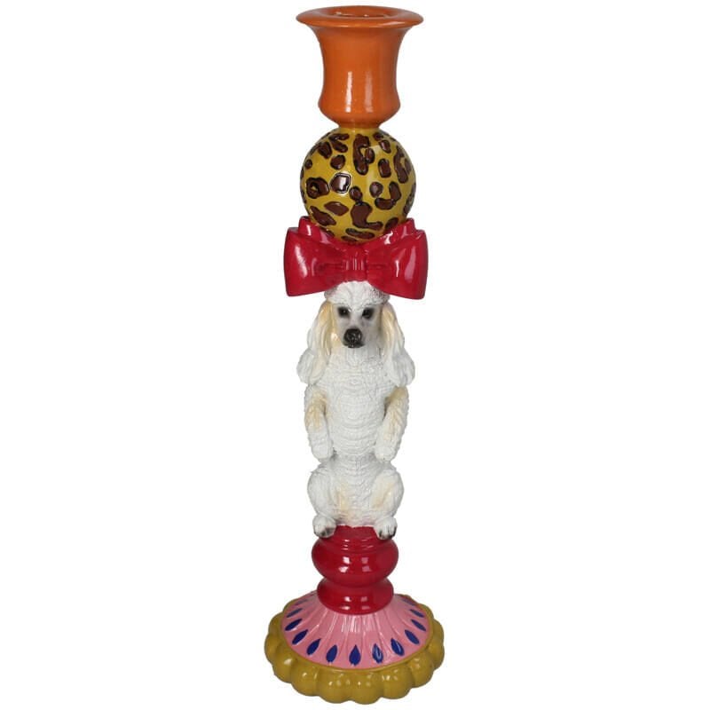 Madame Papillon Poodle Köpek Şamdan