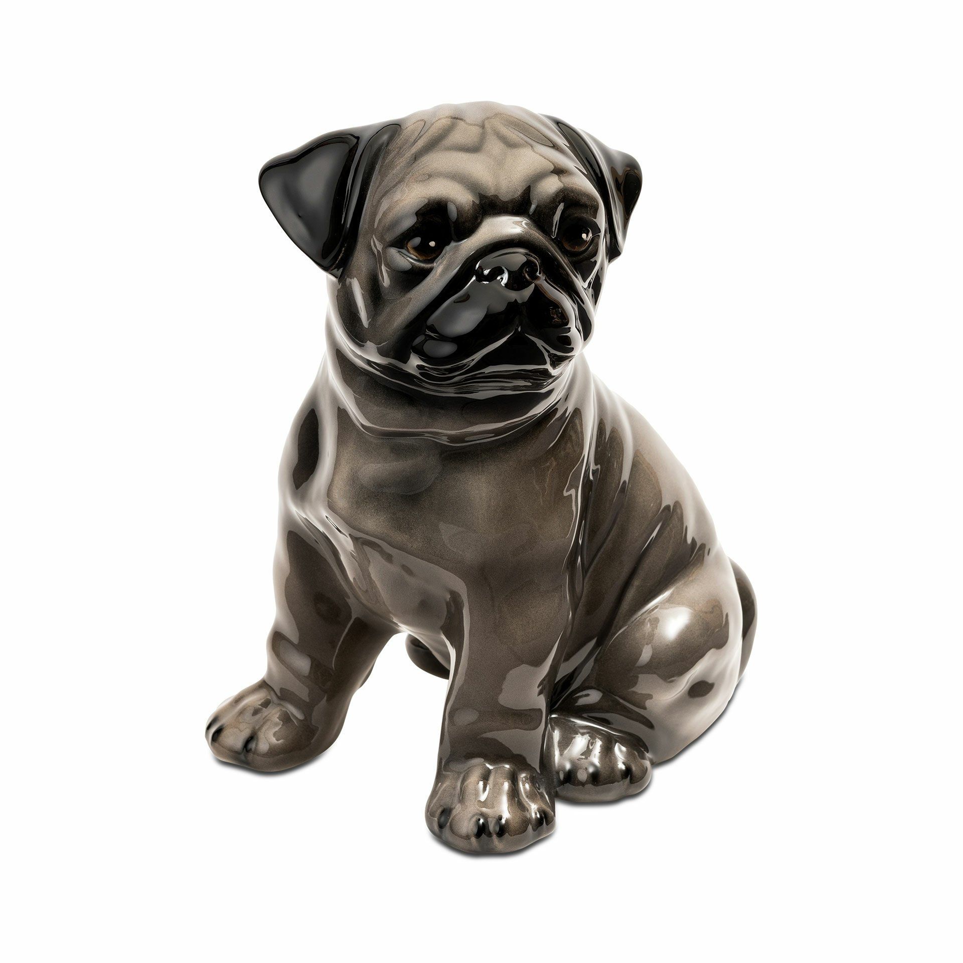 Pug Köpek, Gri