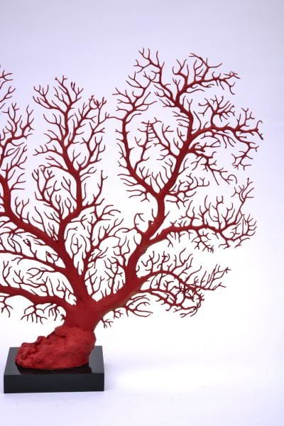 Imperial Red Gorgonian Coral – Dekoratif Mercan Deniz Yelpazesi