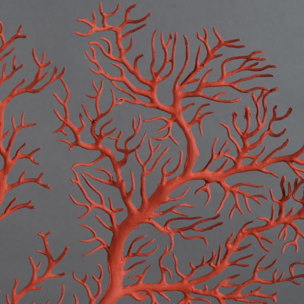 Imperial Red Gorgonian Coral – Dekoratif Mercan Deniz Yelpazesi