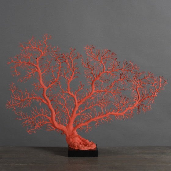 Imperial Red Gorgonian Coral – Dekoratif Mercan Deniz Yelpazesi