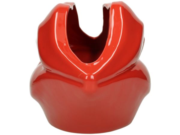 KIRMIZI DUDAKLAR SAKSI/VAZO, KÜÇÜK