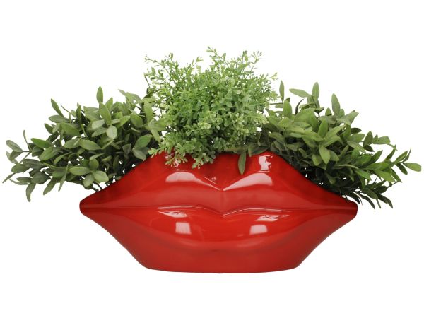 KIRMIZI DUDAKLAR SAKSI/VAZO, KÜÇÜK