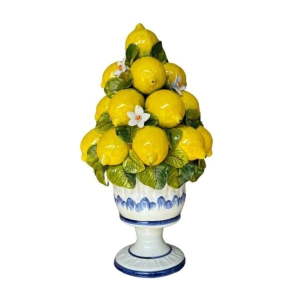 Dekoratif Limon Ağacı