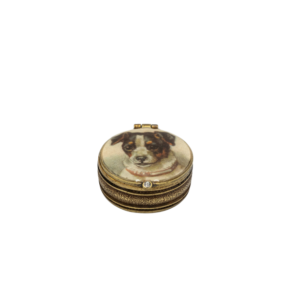 Jack Russell Köpeği Küçük Kutu / İlaç Kutusu