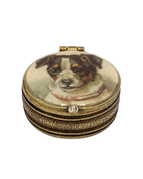 Jack Russell Köpeği Küçük Kutu / İlaç Kutusu