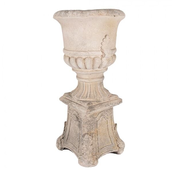 Acanthus Blanc Çiçeklik / Saksı