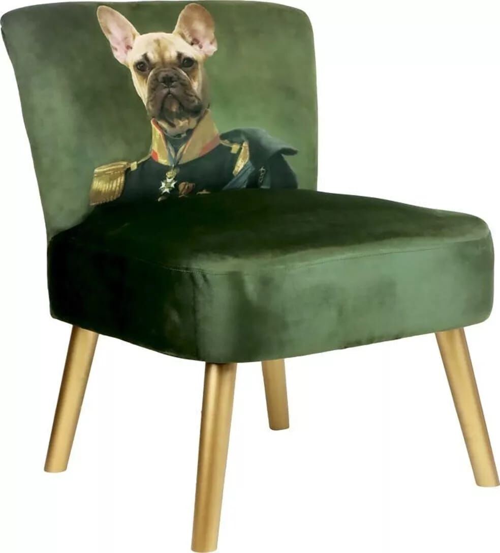 King of Dogs Kadife Koltuk